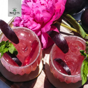 Nolet's plum gin drinks